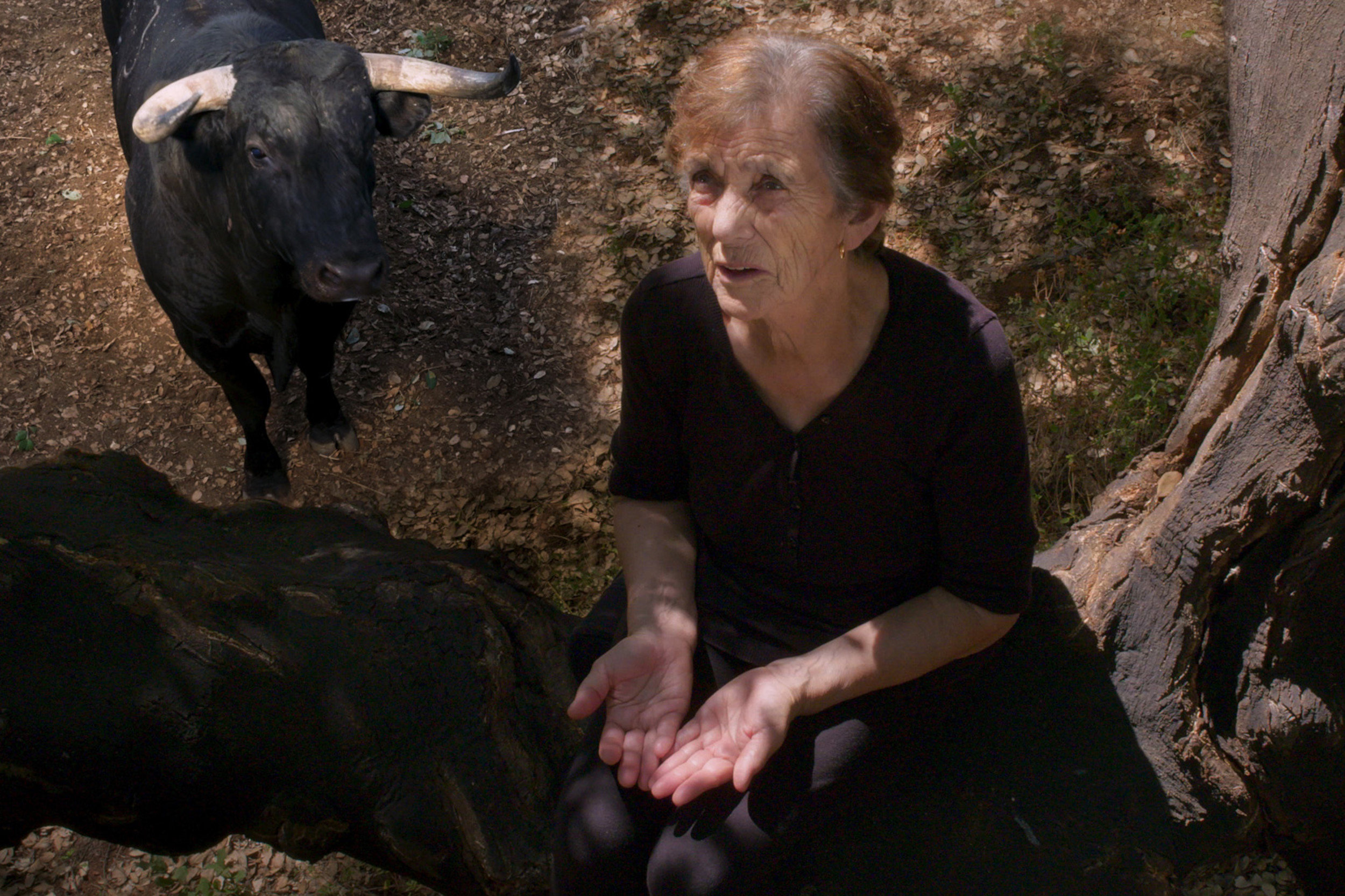 “Fogo do Vento”, de Marta Mateus