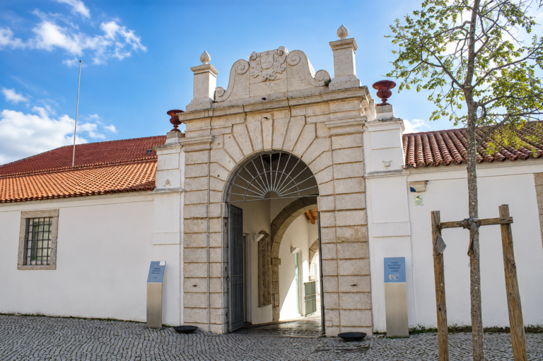 Galeria Municipal do 11
