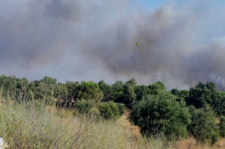 Fogo em Setúbal