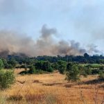 Incêndio na Freguesia do Sado
