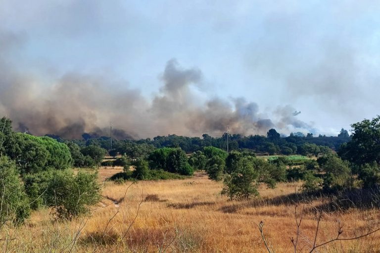 Incêndio na Freguesia do Sado