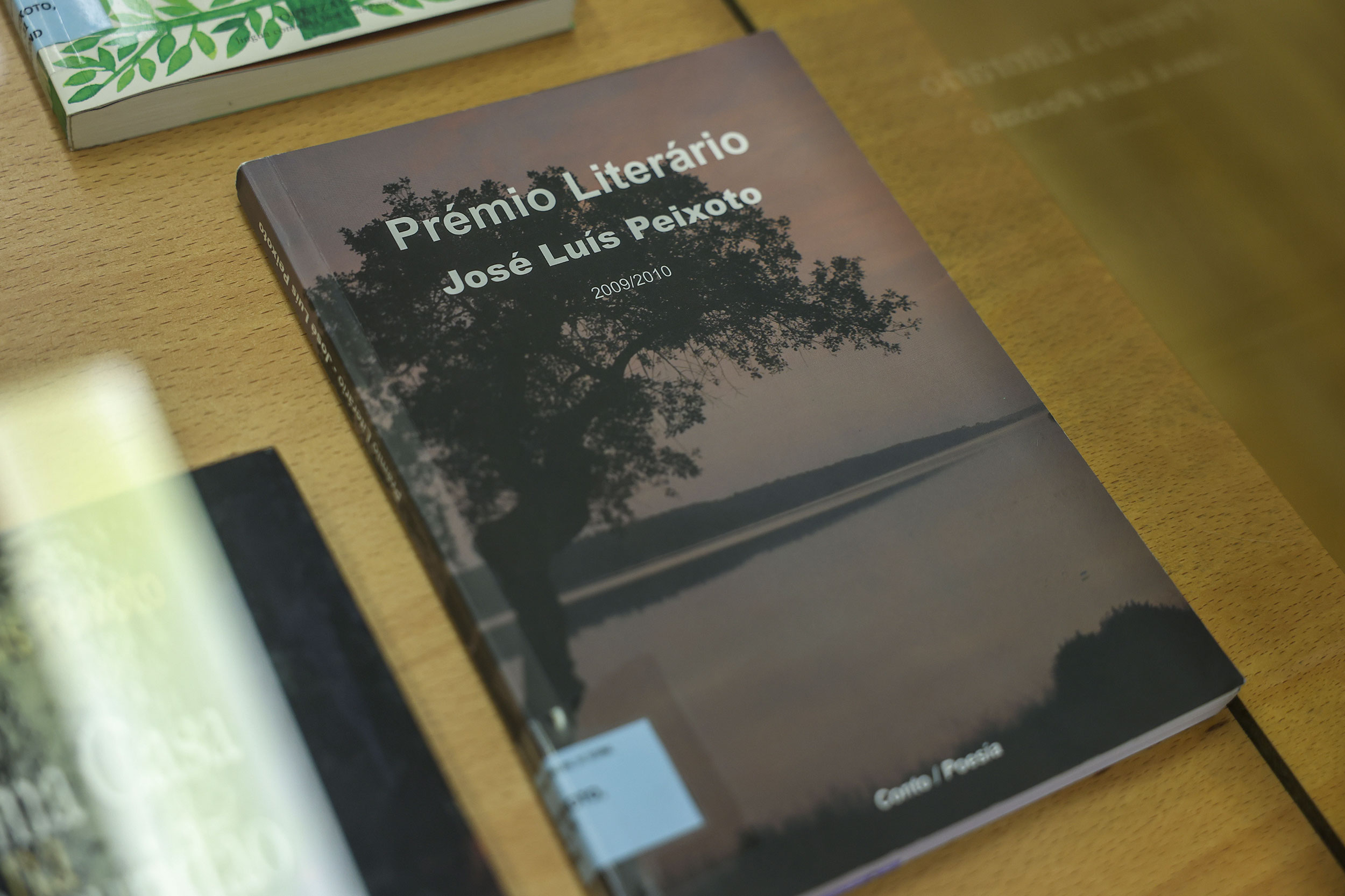 José Luís Peixoto - Autor do Mês