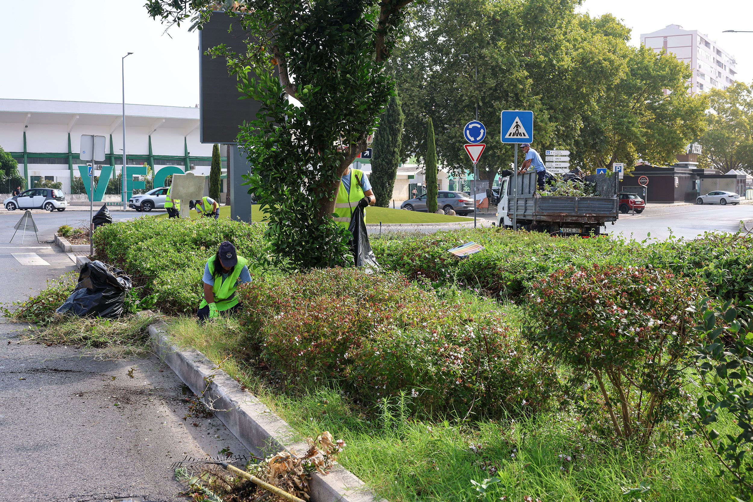 Trabalhos de manutenção da vegetação existente no separador central da Avenida 22 de Dezembro