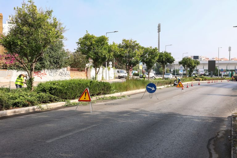 Trabalhos de manutenção da vegetação existente no separador central da Avenida 22 de Dezembro