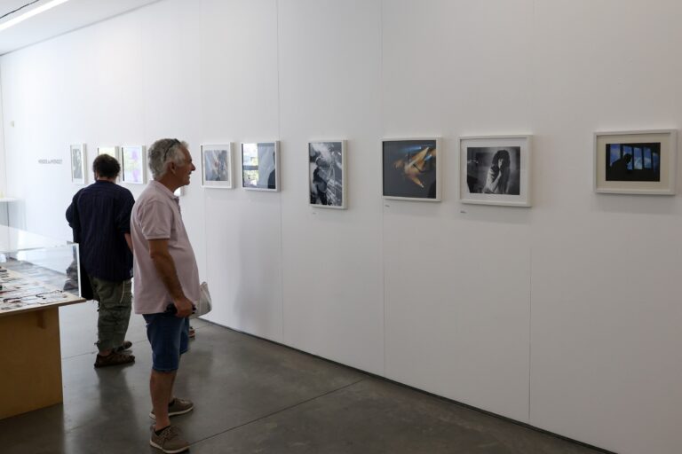 Exposição “Mendes ou Miendes?”