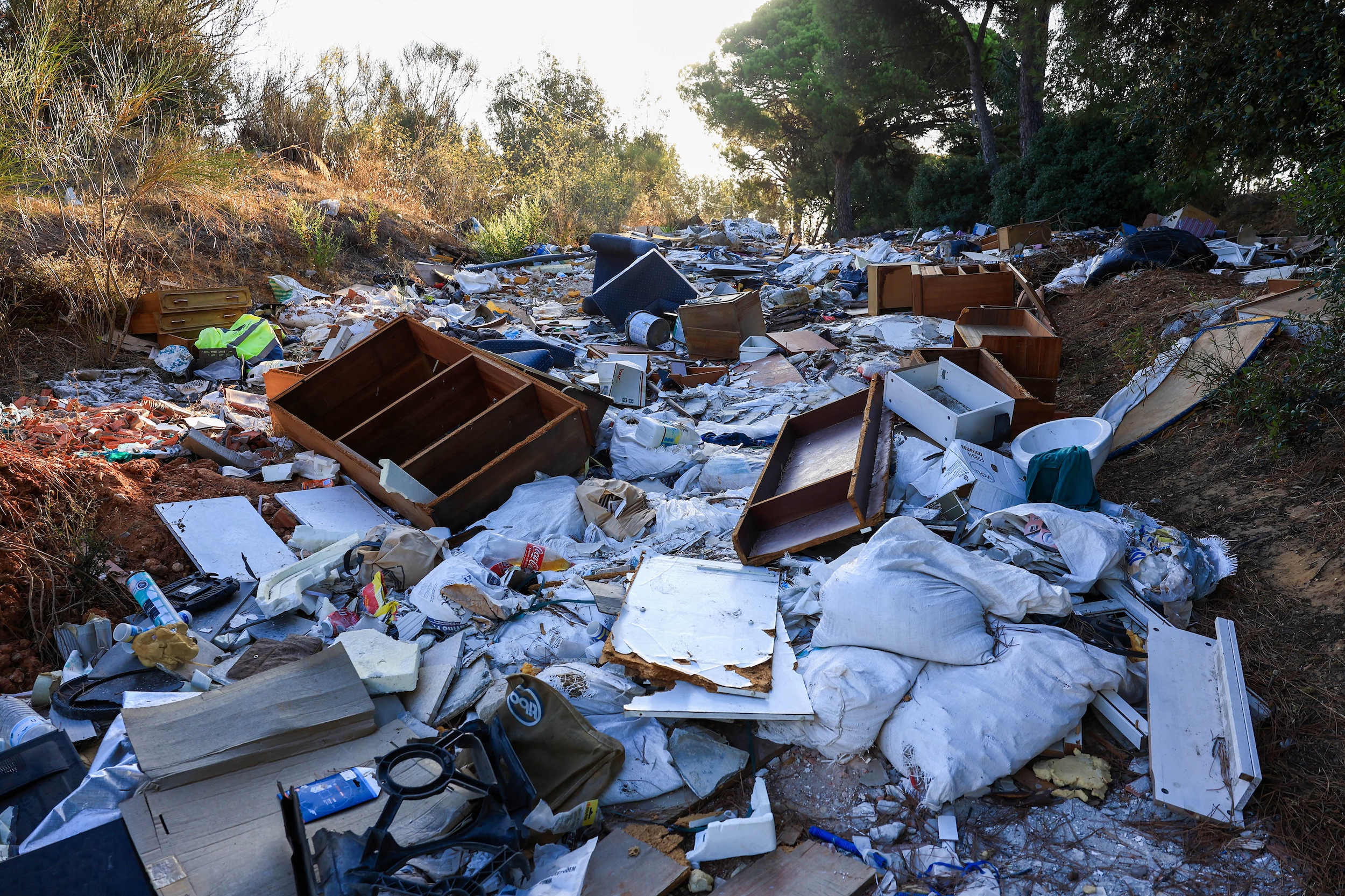 Remoção de monos, resíduos verdes e materiais resultantes de obras, que foram depositados ilegalmente em terrenos das Manteigadas