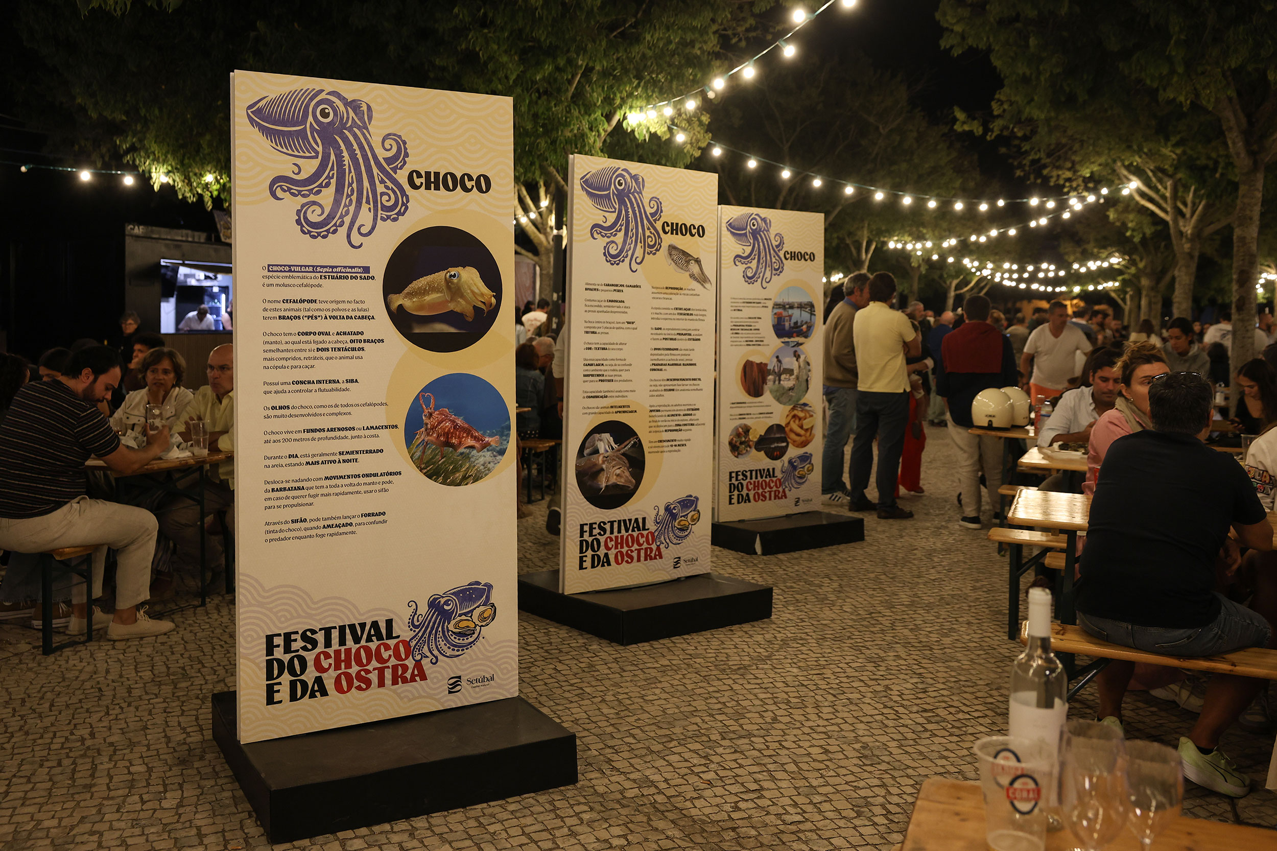 Festival do Choco e da Ostra