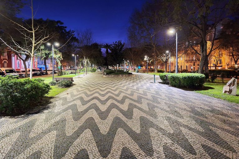 Verão Noturno - descoberta das árvores existentes na Avenida Luísa Todi