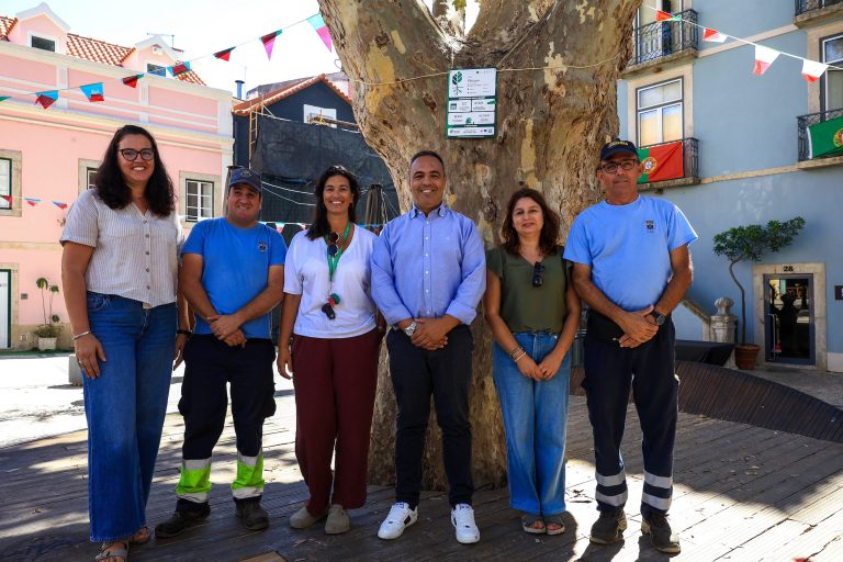 A Tree Tag, agora em Setúbal, é uma campanha europeia de sensibilização ambiental