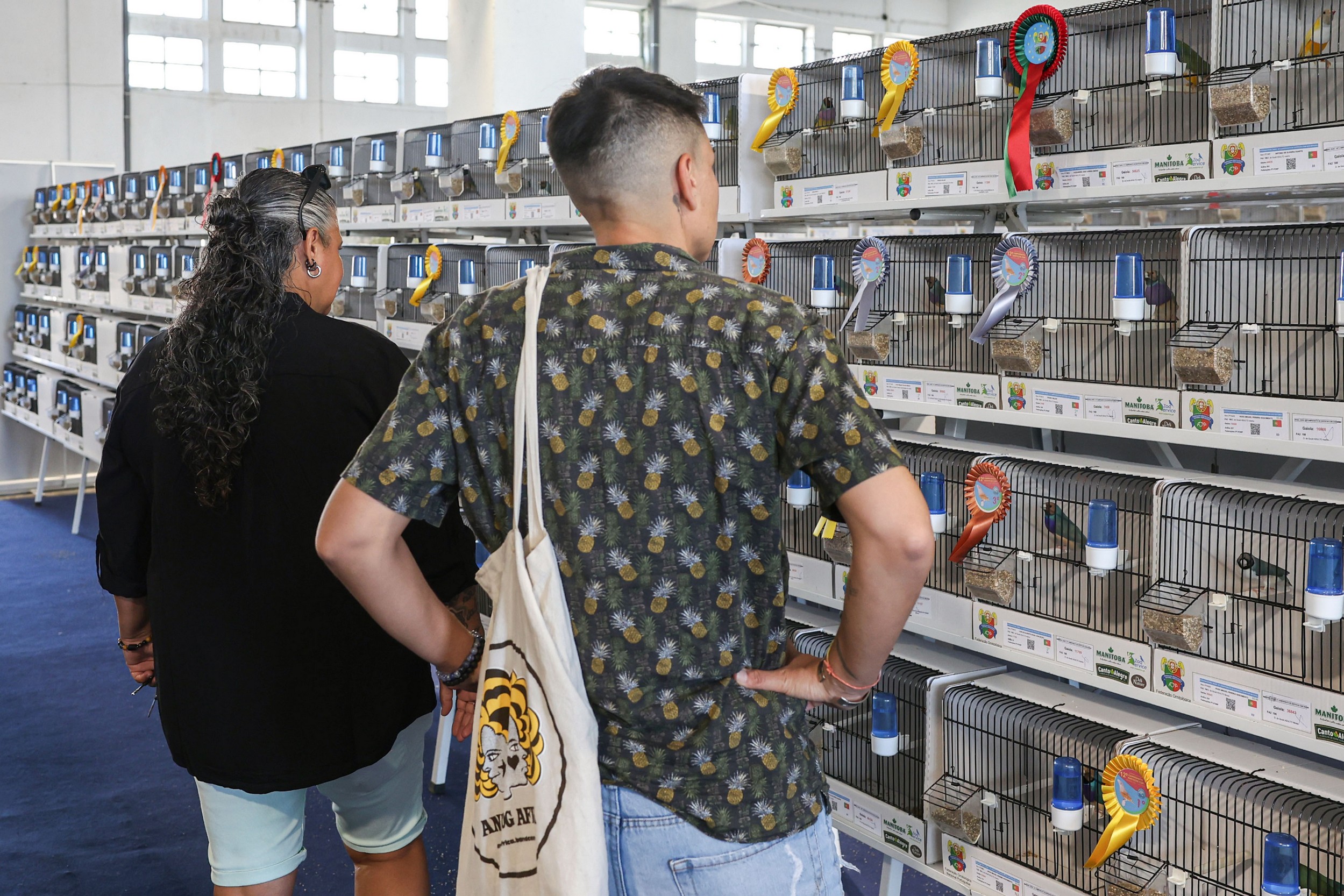 Mais 1600 aves exóticas estiveram em exibição no Internacional Sado - 12.º Campeonato COM de Exóticos