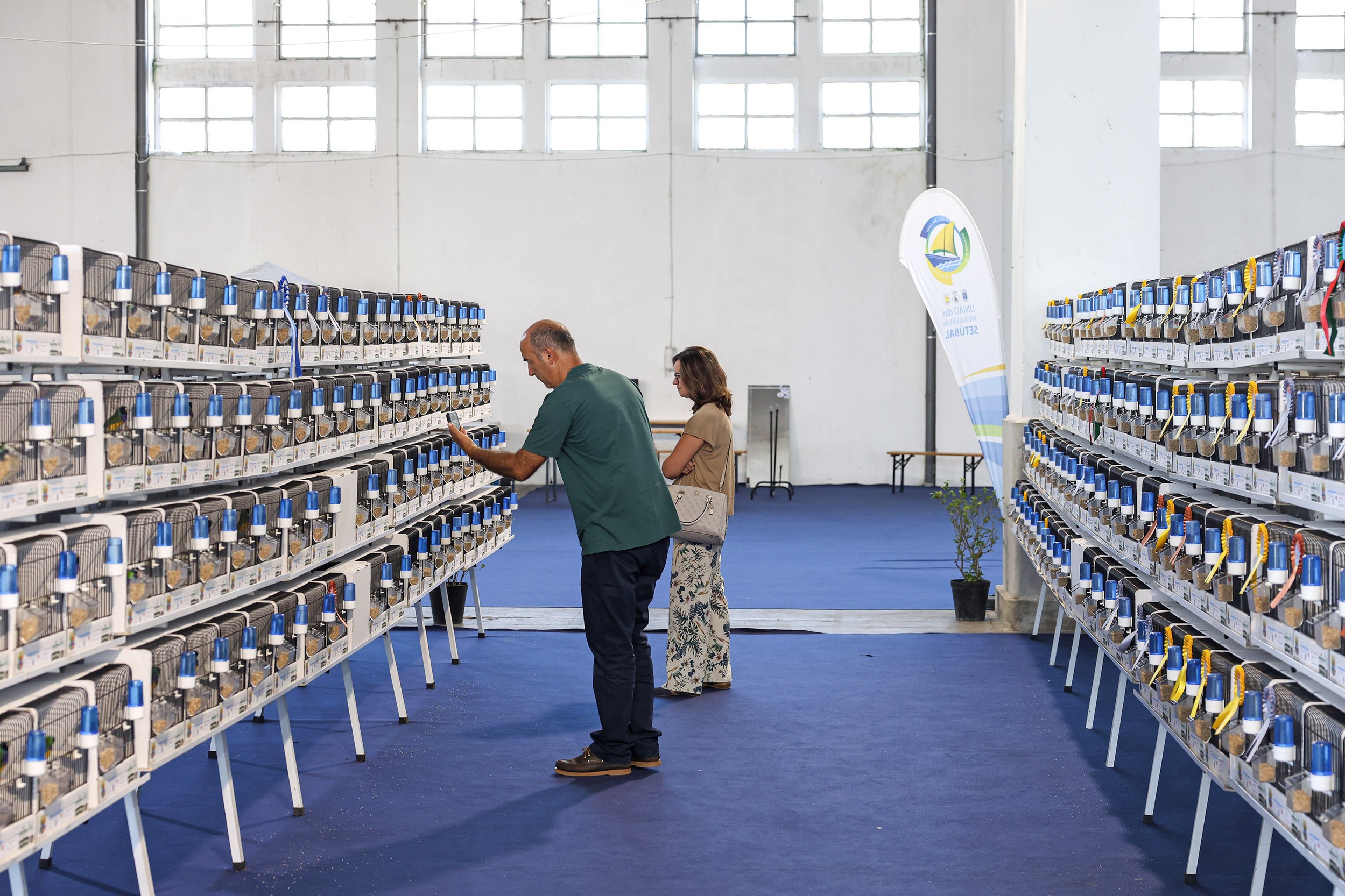 Mais 1600 aves exóticas estiveram em exibição no Internacional Sado - 12.º Campeonato COM de Exóticos