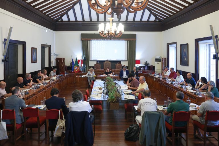 Primeira reunião do Conselho Municipal do Desporto de Setúbal para o mandato 2025/2029