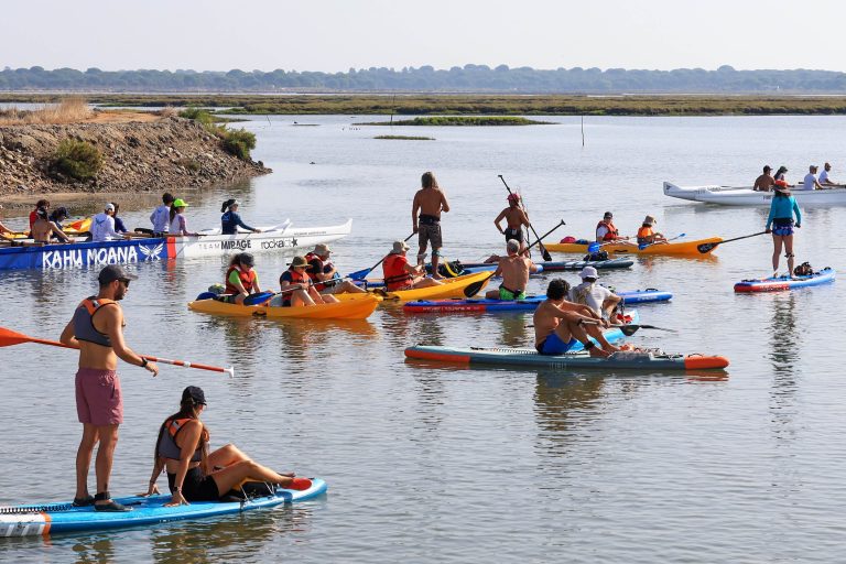 Uma centena de participantes desceram o rio Sado, ao longo de 25 quilómetros