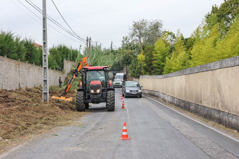 Limpeza de bermas e trabalhos de cantoneiro na Estrada Palmela