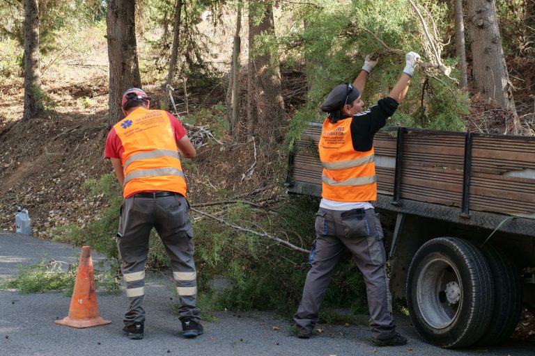 Desmatação ao longo da Estrada dos Picheleiros (EM 528)