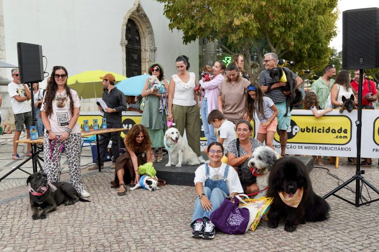 Festival VIP – Very Important Pets
